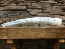 Historic scrimshaw walrus for sale  Rising Fawn