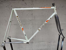 Toschi leader rare usato  Cormano