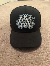 Milwaukee admirals topperzstor for sale  Reading