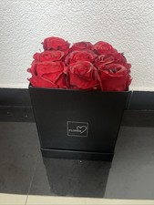 plastik rosen gebraucht kaufen plastik rosen gebraucht kaufen Falkensee