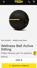 Palla fitnes per usato  Roma
