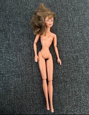 1998 turnierreiterin barbie gebraucht kaufen  Himmelpforten