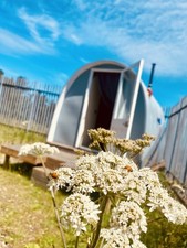 Tiny house cabin for sale  STANLEY