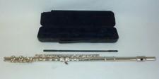 Flute lindo hard for sale  CANTERBURY
