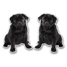 Black pug vinyl for sale  SELBY