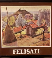 Vittorio felisati mestre usato  Venezia