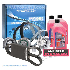 Kit distribuzione pompa usato  Sant Angelo del Pesco