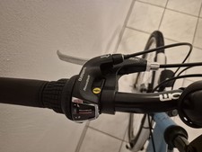 Trekking fahrrad herren gebraucht kaufen  Bruchsal