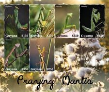 Praying mantis insects for sale  PONTYPRIDD