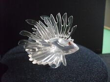 lion fish for sale  SHEERNESS