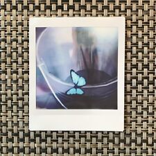 Foto instantânea Life is Strange Prop: arte borboleta azul comprar usado  Enviando para Brazil