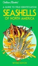Seashells north america for sale  USA