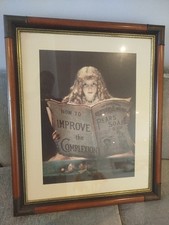 Framed vintage pears for sale  PEACEHAVEN