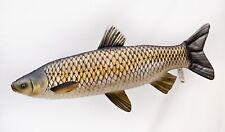 Gaby grass carp for sale  CAMBRIDGE