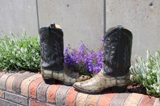 Tony lama men for sale  Johnson City