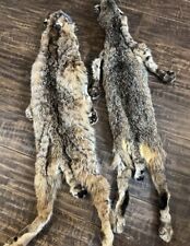 Vintage lynx fur for sale  Mulino