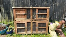 Rabbit guinea pig for sale  MANCHESTER