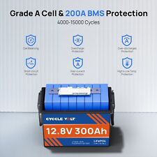 12v 300ah lithium gebraucht kaufen  Pfungstadt