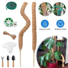 Pflanzstab kokos monstera gebraucht kaufen  Euskirchen