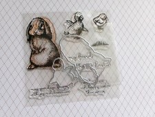 Stempel set clearstamp gebraucht kaufen  Brüssow