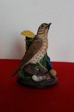 Oiseaux collection d'occasion  Saint-Cannat