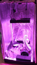 Marshydro growpro box gebraucht kaufen  Leipzig