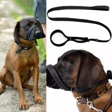 Figure dog lead for sale  HATFIELD