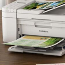 Canon pixma tr4751i usato  Manerbio