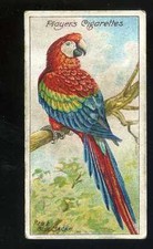 1909 nature series for sale  WELLS