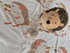 Igel kuscheldecke kuscheltiere gebraucht kaufen  Volkach