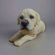Labrador golden retriever for sale  DUDLEY