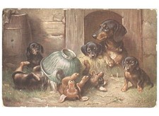 C.reichert antica cartolina usato  Italia