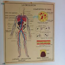 Affiche pédagogique scolaire d'occasion  Canohès