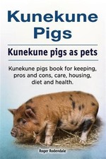 Kunekune pigs. kunekune for sale  Jessup
