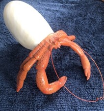 Hermit crab ornament for sale  CROMER