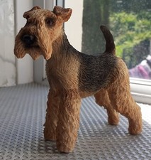Leonardo airedale terrier for sale  TONYPANDY