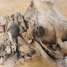 Aquarium wurzel mangroven gebraucht kaufen  Langenleuba-Niederhain