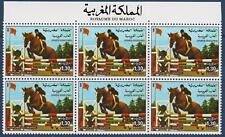 Marocco 1981 1981 usato  Trambileno