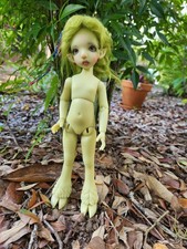 Tall cinnamon faun for sale  Hernando
