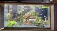 140l freshwater aquarium for sale  OSSETT