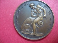 Medaille napoleon camp d'occasion  Rosny-sous-Bois
