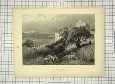 Original old antique for sale  UK