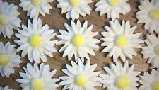 Edible flowers white for sale  HASTINGS