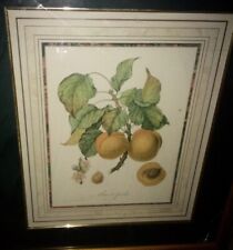 French botanical 19th for sale  Houston