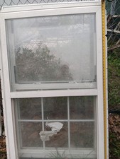 Home windows 36x60 for sale  Cuba
