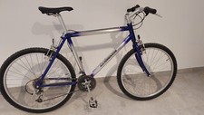 Trekkingbike peugeot alu gebraucht kaufen  Schliersee