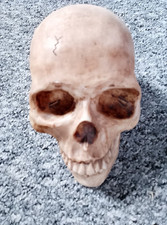 human skull replica for sale  STROUD