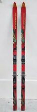 Alpinski blizzard v33 usato  Martinsicuro