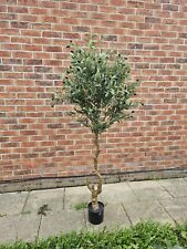 Calabria large olive for sale  DONCASTER