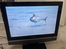 Grundig 15.4 lcd for sale  COTTINGHAM